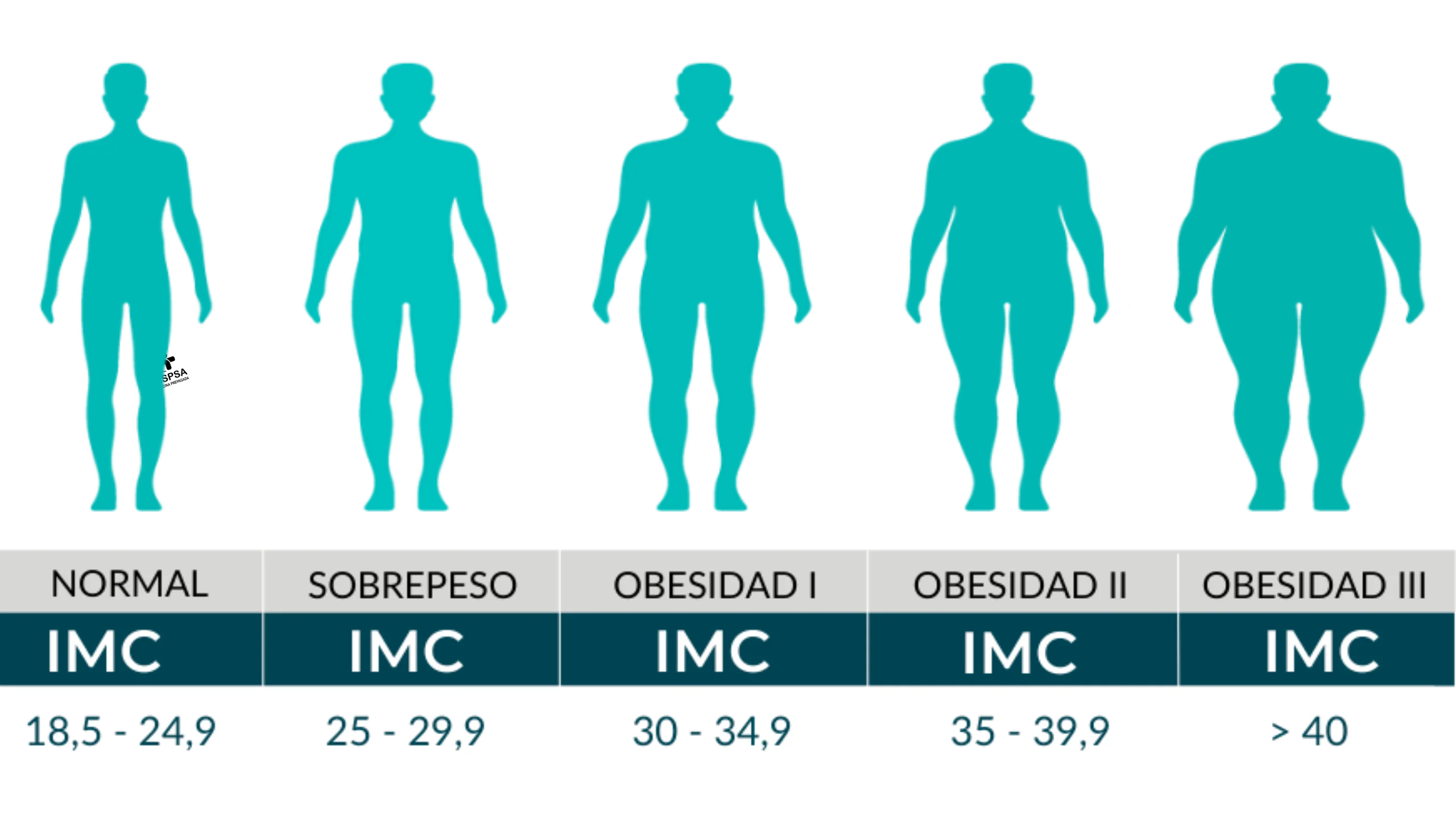 Calculadora Indice de masa muscular Caracas SISPSA Calculadora indice de masa corporal Caracas